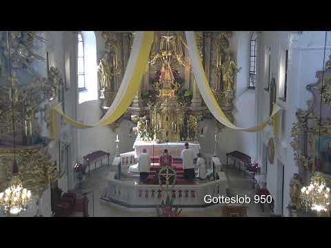 Hochfest der Apostel Petrus und Paulus mit P. Georg O Cist, aus Maria Schutz  - 29.06.2025