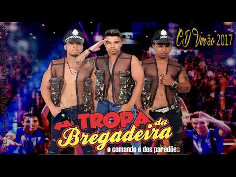 Tropa da Bregadeira - Chamou Chamou (Áudio Oficial)