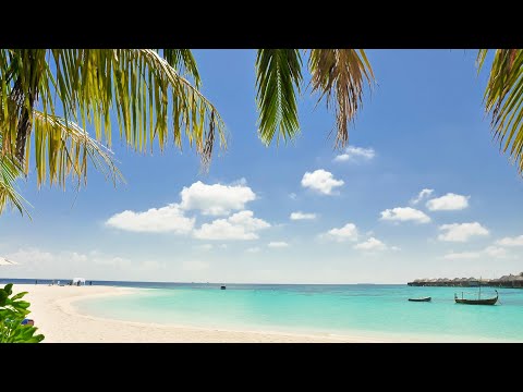 Maldives Dreamscape | Relaxing Gibran Alcocer Music with Stunning Ocean Views