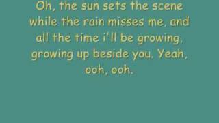 Paolo Nutini - Growing up beside you With lyrics
