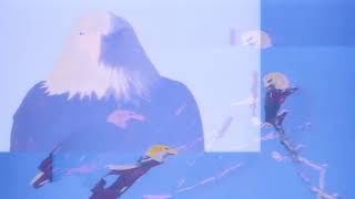 JOANNE ROBERTSON &amp; DEAN BLUNT - X