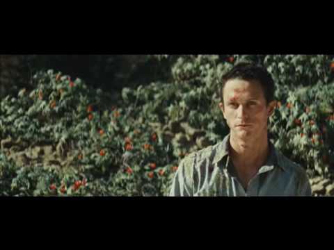 Ruinen: alternatives Ende / The Ruins: alternative ending