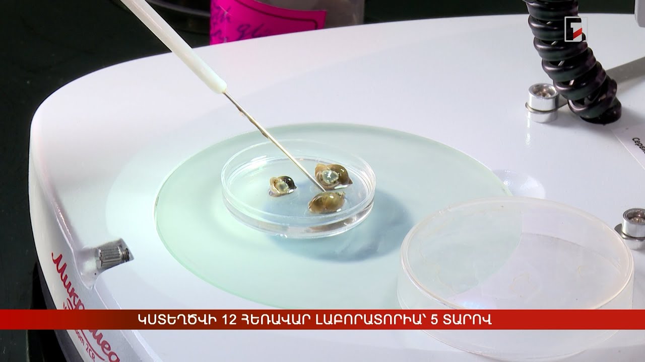 Կստեղծվի 12 հեռավար լաբորատորիա. մրցույթի արդյունքները հայտնի են