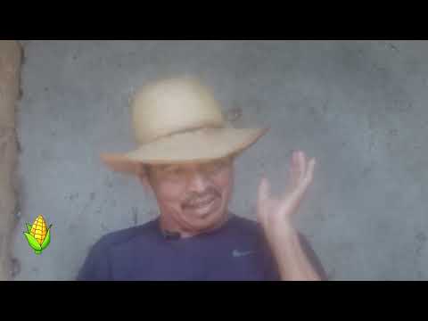 agricultura_Temporada 2026_PROG#10