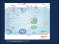 Procalcitonin Utility In The Intensive Care Unit ICU
