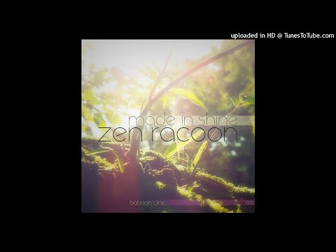 Zen Racoon - Life in Style (Original Mix)