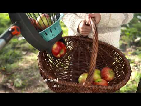GARDENA fruktuppsamlare - ett roligt och smidigt sätt att plocka fallfrukt