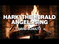 David Schultz - Hark! The Herald Angels Sing (Official Audio - Christmas Songs)