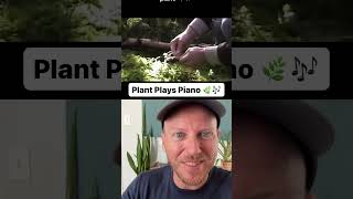 Video thumbnail for This plant is playing a real-life piano with PlantWave! 🤯🌿🎶 by PlantWave