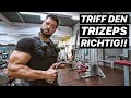 Deswegen wächst DEIN Trizeps NICHT! | Trizepsdrücken am Kabelzug