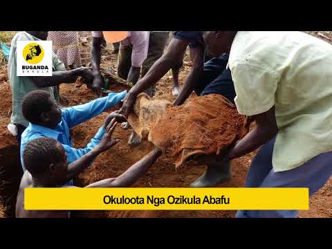 okuloota nga ozikula abafu  - Ebirooto Namakulu Gaabyo - Buganda Ekkula