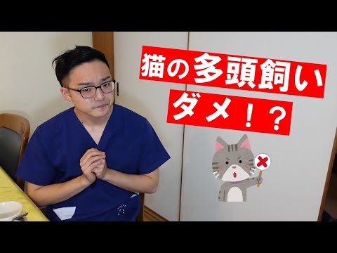 家に猫を1匹か2匹飼うべきですか?