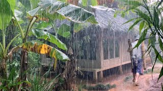 Download lagu Mantap., Musim Hujan Di Pedesaan. Perkampungan Tersembunyi Di Ujung Desa Dekat Hutan Terasa Damai mp3