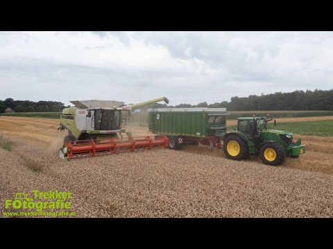 Wintertarwe dorsen 22 | Kroger Agroliner TAW 20 | Bouwhuis | Threshing Wheat | Dreschen Winterweizen