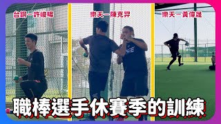 [分享] 下巴辣大叔的休賽季訓練 ft.四位職棒選手