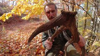 Падналия рог