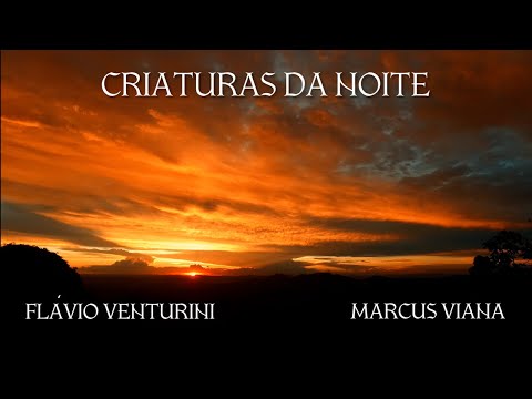 Flavio Venturini e Marcus Viana - "Criaturas da Noite"