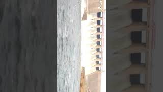 preview picture of video 'Bhavanisagar Dam overflow after 13 years...'