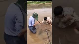 Download lagu VIDEO LUCU BIKIN NGAKAK 2022 - video lucu cina || #shorts #shortsbeta mp3