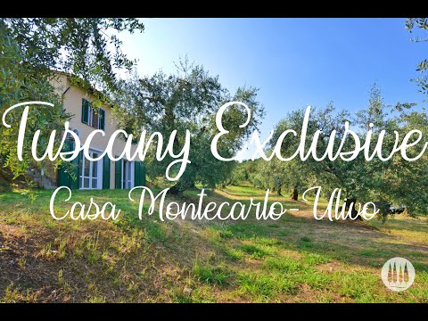 Casa Montecarlo - Ulivo