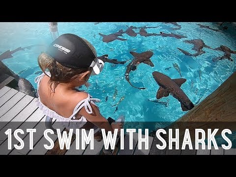 Kids Swimming with Sharks!! /// WEEK 107 : Bahamas