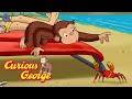 Vacation Chaos Curious George Kids Cartoon Kids Movies