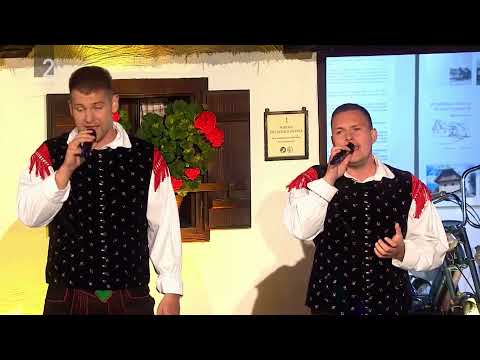 Ansambel Valovi - Drugačen - Festival Ptuj 2021