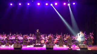Rayuan Pulau Kelapa - Batavia Chamber Orchestra feat. Ricad Hutapea, conduct by R.M Aditya Andrianto