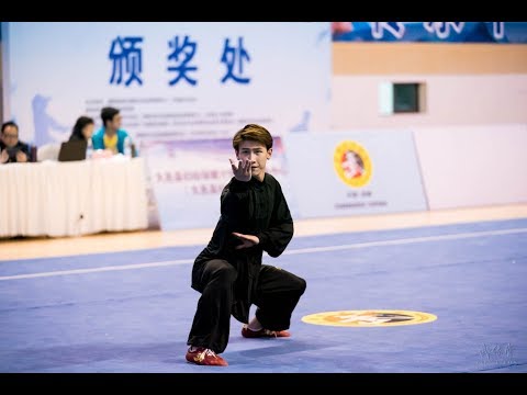 Men's Bagua 男子八卦掌 第1名 浙江 查苏生 8.88分 zhe jiang cha su sheng