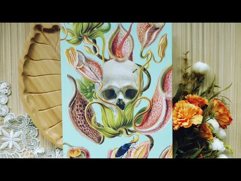 video thumnail