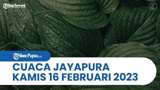 Cuaca Kota Jayapura Kamis, 16 Februari 2023: Didominasi Cuaca Berawan dan Hujan Ringan