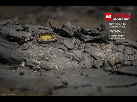 Photographer of the Year - 2020 finalists & winners