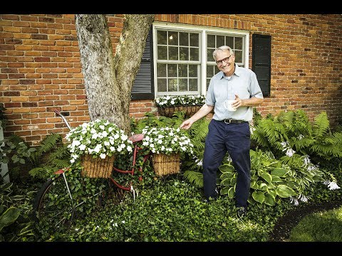 Parkview Health video/presentation/materials