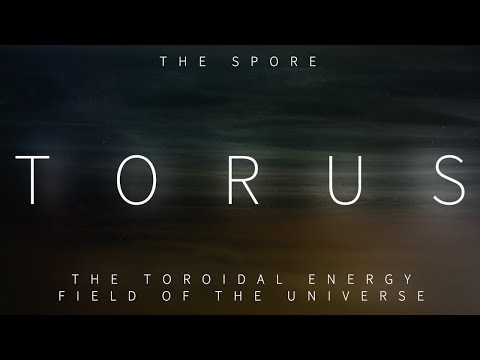Torus: The Toroidal Energy Field of the Universe [The Spore]