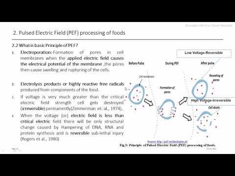 Pulsed Electric Field (PEF) processing of foods