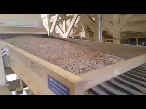 Texas Shaker Screener for Almonds | Triple/S