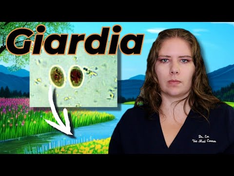 Giardia 101: Vet's Must-Know Info for Pet Guardians