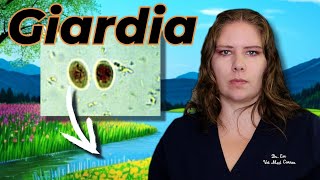 Giardia 101: Vet's Must-Know Info for Pet Guardians