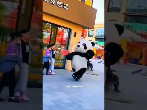 Cute panda || Tan karitak rital dum dum 😍