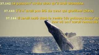 Apprendre l'invocation du prophète Jonas (que la paix soit sur lui)