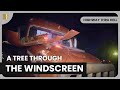 Military Rotator Rescue Highway Thru Hell S09 EP13 Reality Drama