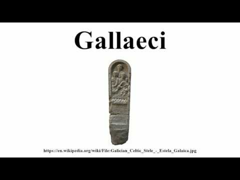 Gallaeci