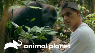 Thumbnail del capítulo