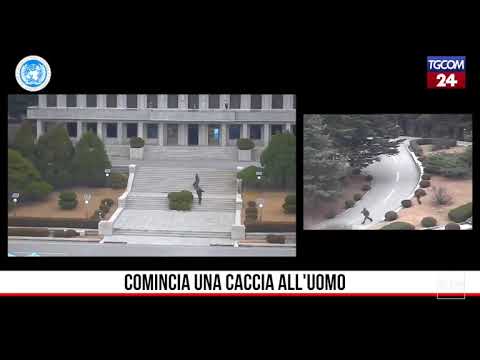 Trattamento laser di dolori articolari Una serie di esercizi presso lernia intervertebrale lombare