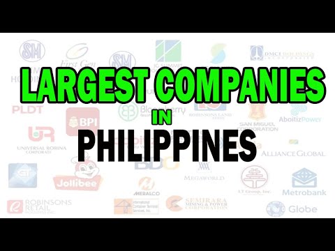 Top 30 Largest Companies in the Philippines  by Revenue 2022