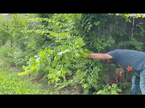 “He Was in the Hospital. Kids Destroyed His Home. This Is What I Walked Into.”