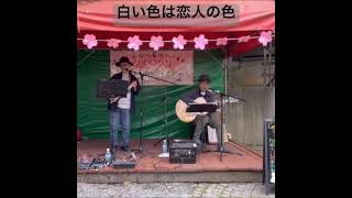 白い色は恋人の色 #弾き語り #歌ってみた #ギター＃男性デュオによるハモリ