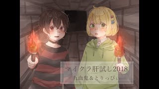 マイクラ肝試し2018 印洲升村を覆う影 　#4