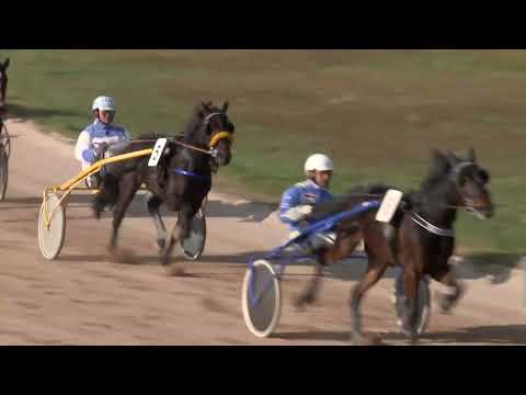 2022.11.12. 03. futam - JOÓ RÓBERT EMLÉKVERSENY - KÉTÉVESEK VERSENYE