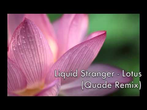 Liquid Stranger - Lotus (Quade Remix)